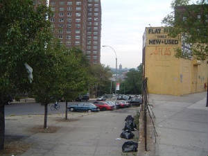 snakehilltoinwood.jpg