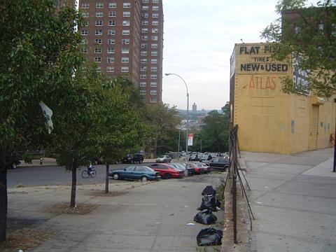 snakehilltoinwood.jpg